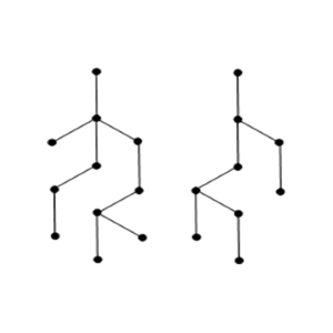 two top down tree graphs
